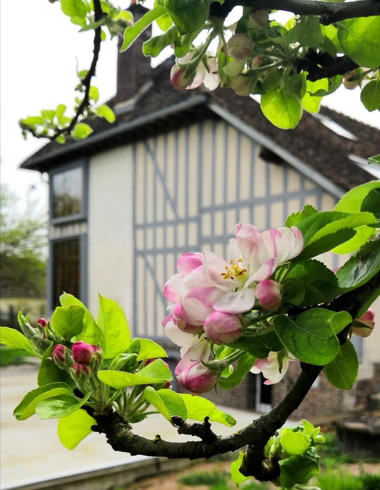 Sous Les Toits Bed and Breakfast Dosches Eksteriør billede